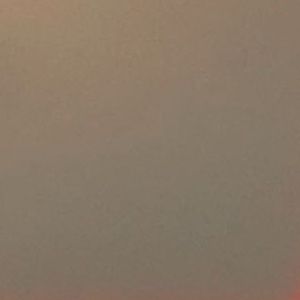 Meet your Posher, Hayley